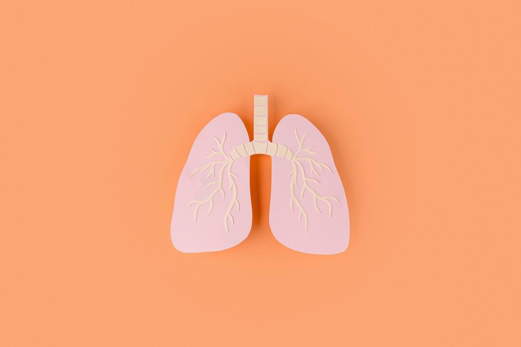 Can Steam Intake Detoxify Your Lungs? Dr Amgenic